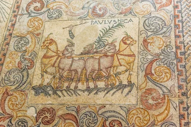 Mosaics Depicting Charioteer Driving Four Horses